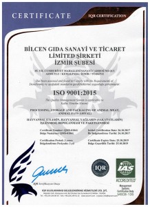 ISO 9001 (1)...